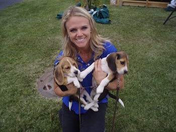dr_amanda_kremer_with_beagle_puppies