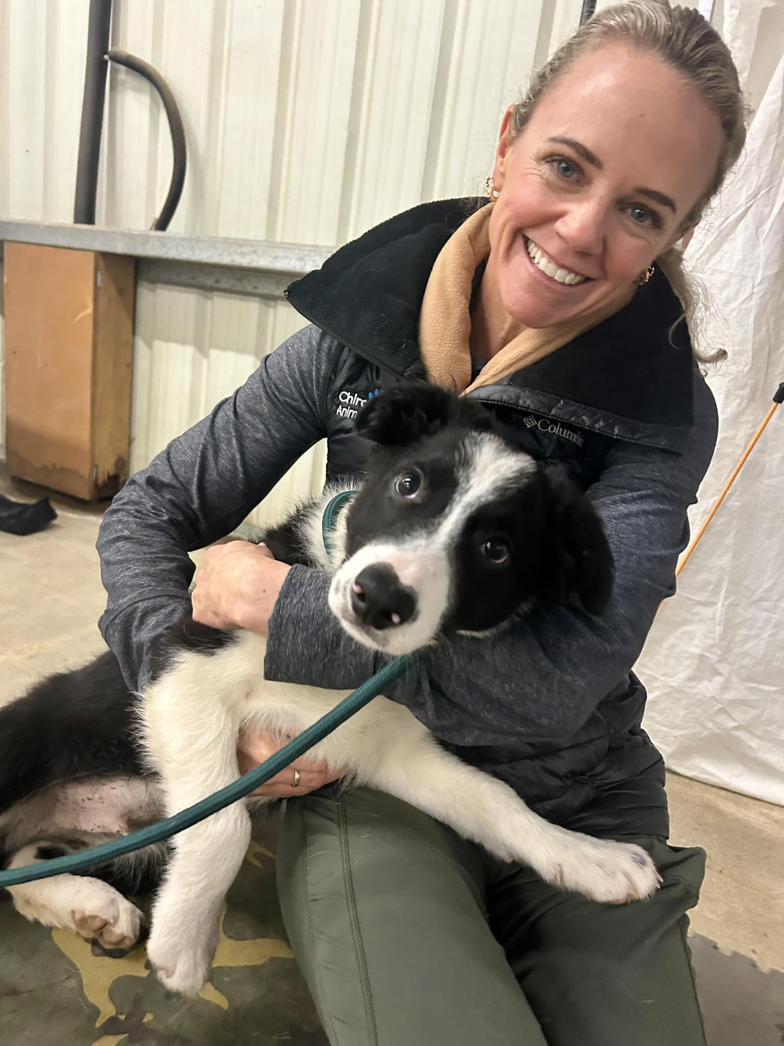 dog_chiropractor_lake_tahoe_reno