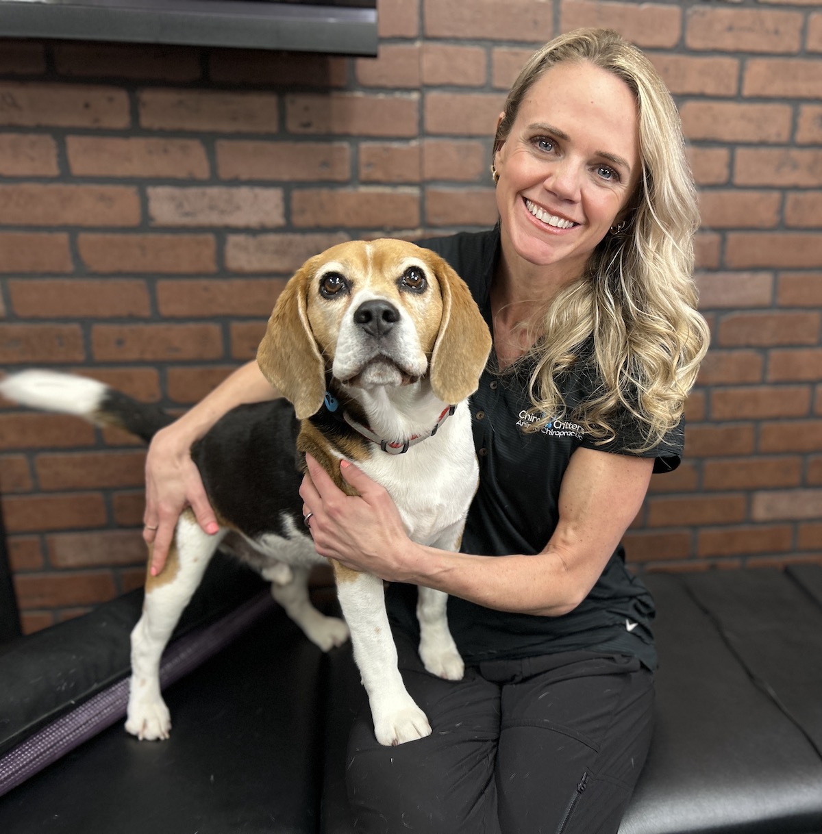 animal_chiropractor_lake_tahoe_reno_nevada