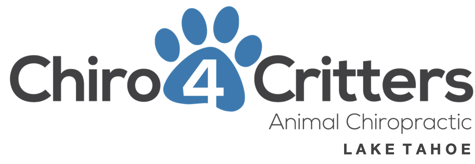 Animal Chiropractor Lake Tahoe
